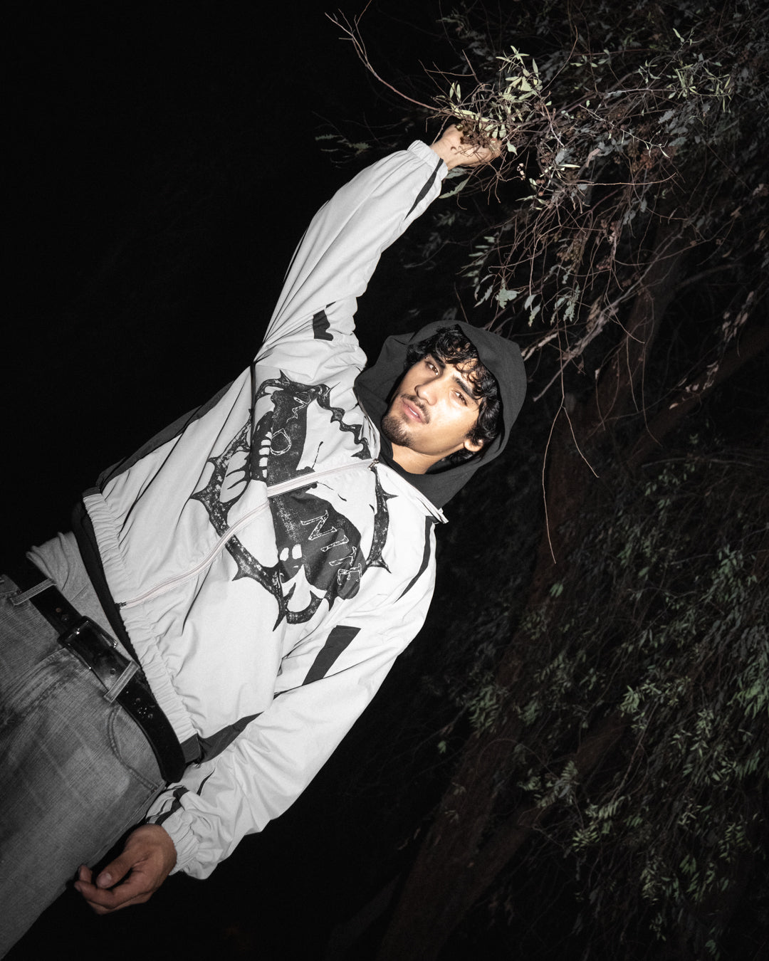 Butterfly Windbreaker